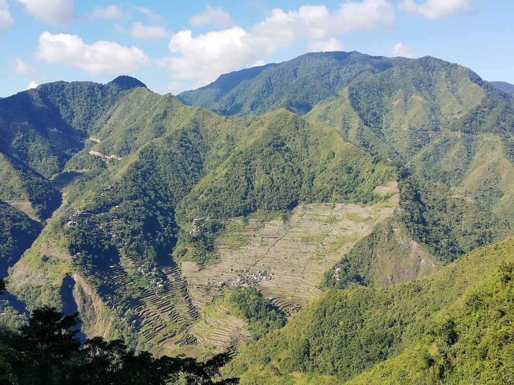 Processed with VSCO with s3 preset