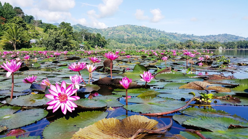 Processed with VSCO with s3 preset