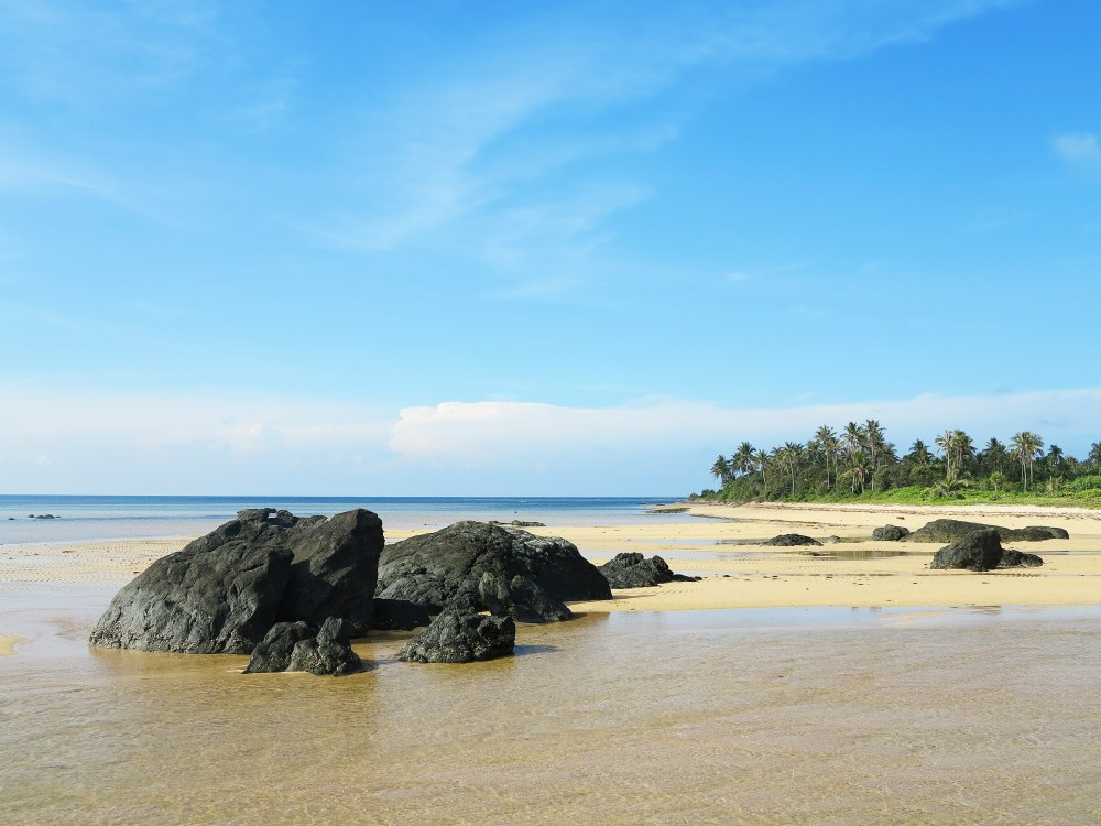 Processed with VSCO with s3 preset