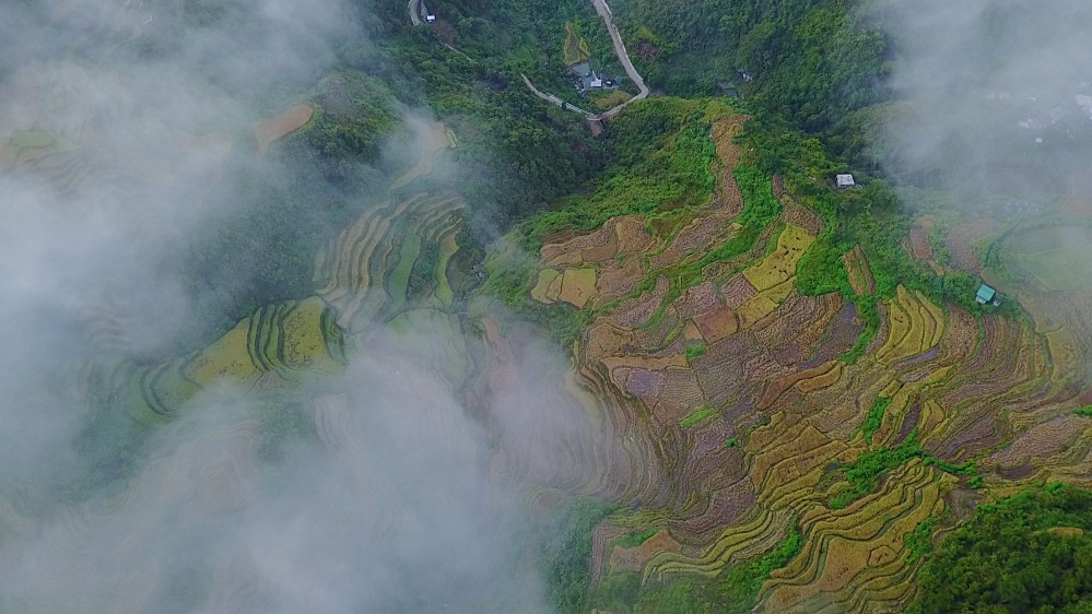 Top view of Maligcong Rice Terraces!