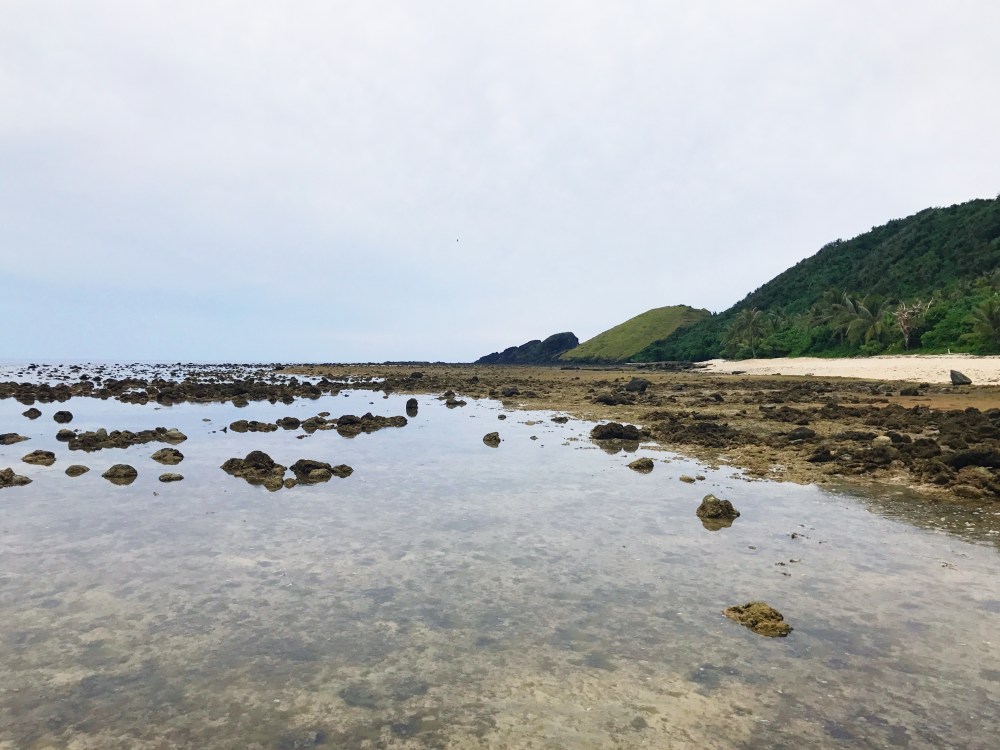 Processed with VSCO with s3 preset