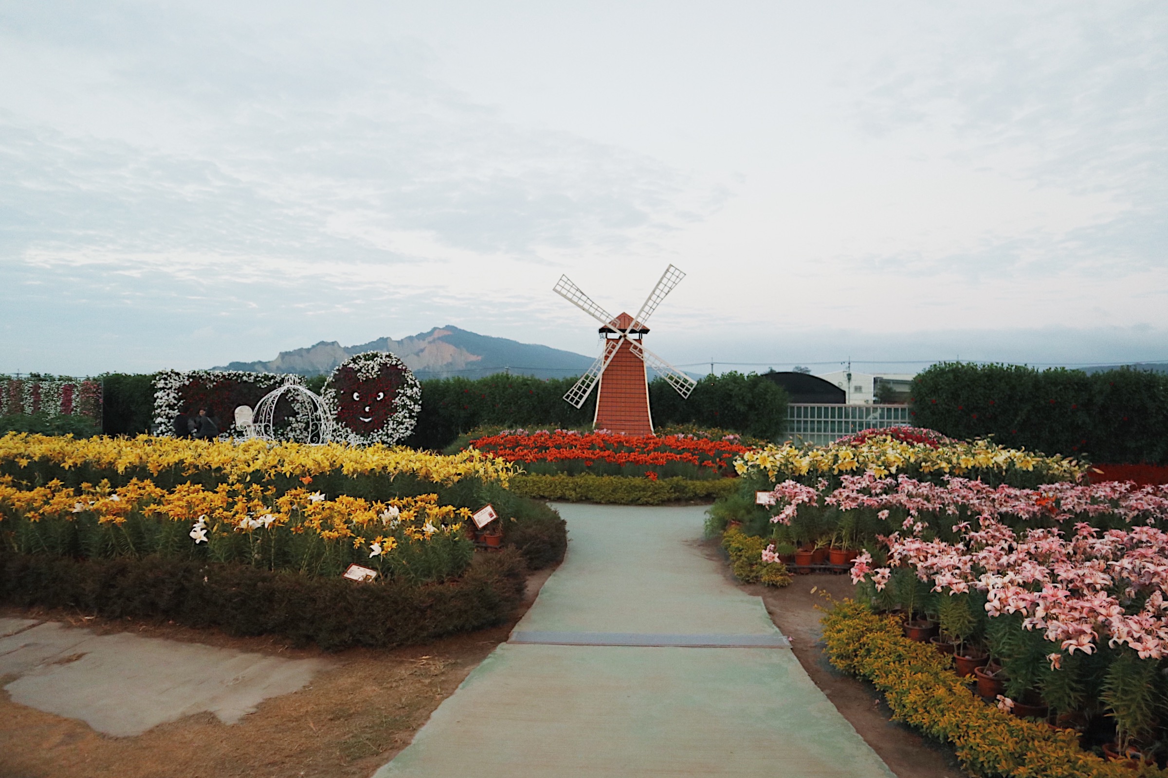 THE WINDMILL. This is just one of the many attractions here in Houli Flower Farm.