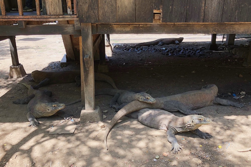 Processed with VSCO with s3 preset