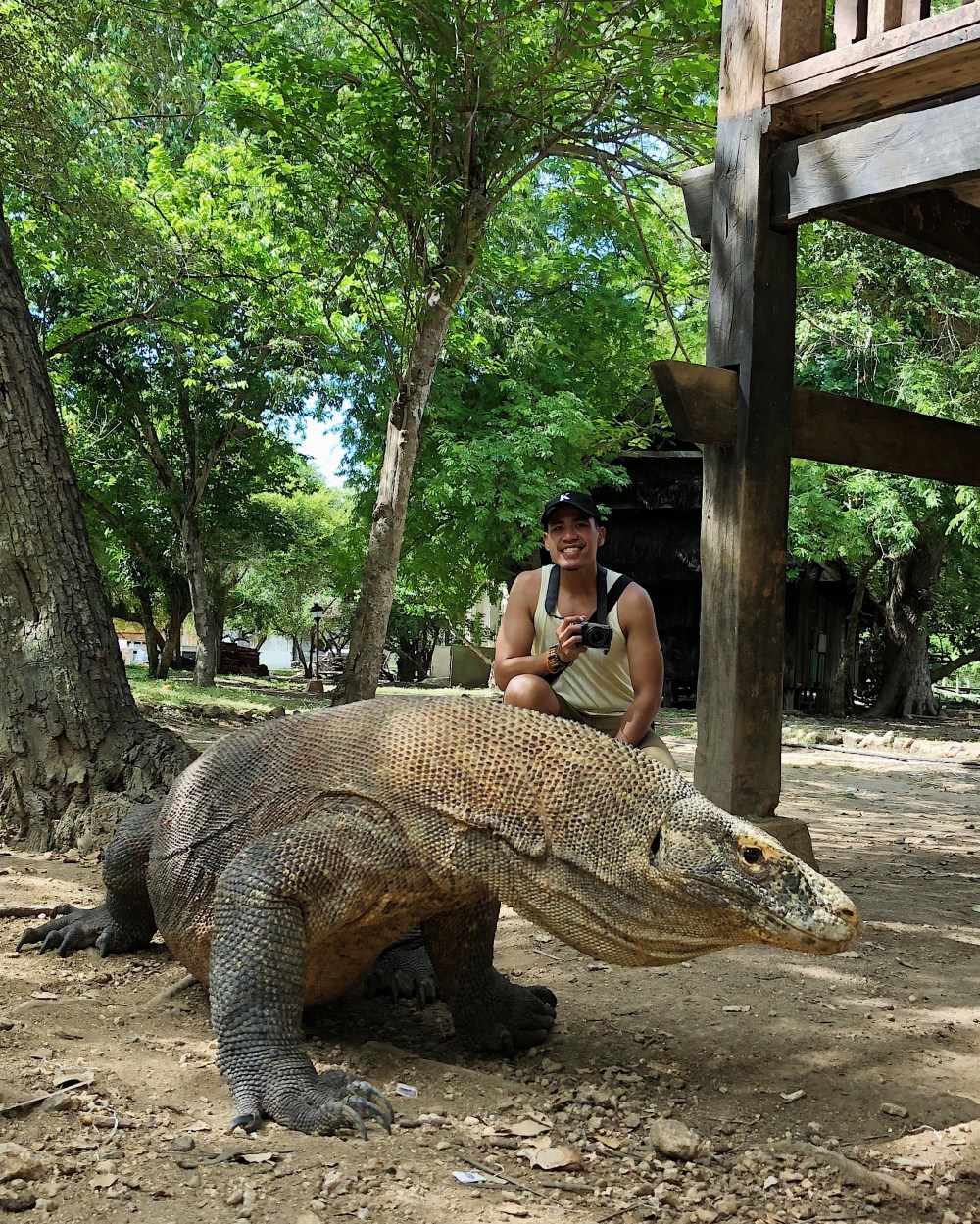MINGLING WITH THE KOMODO DRAGON.