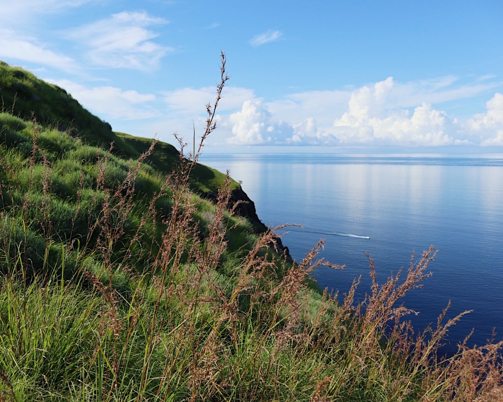 CALM AND SERENE as well.