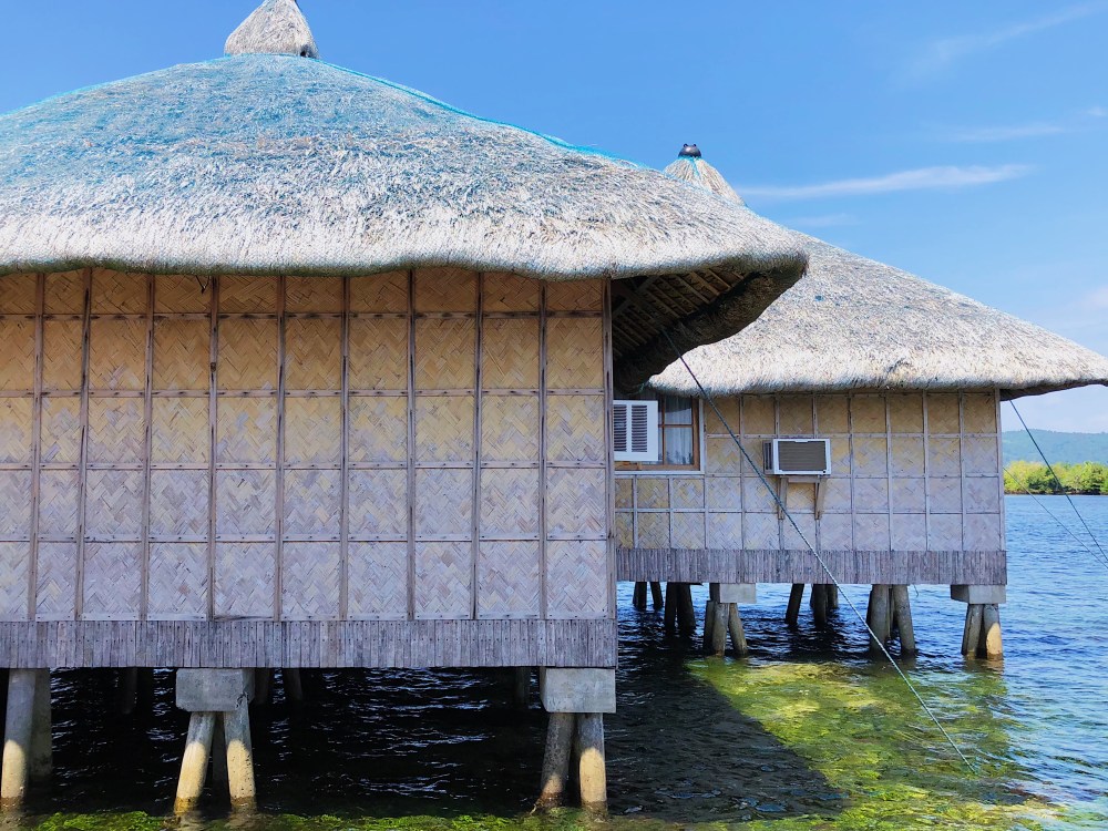 Processed with VSCO with s3 preset