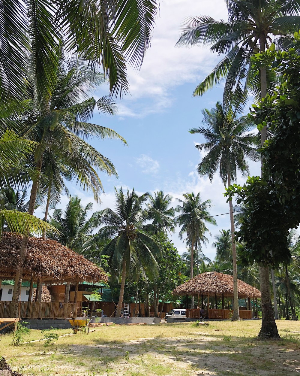 MANGROVE BEACH RESORT.