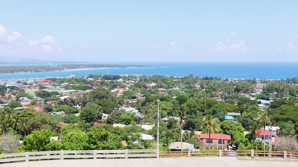 VIEW FROM THE CAPITOL.