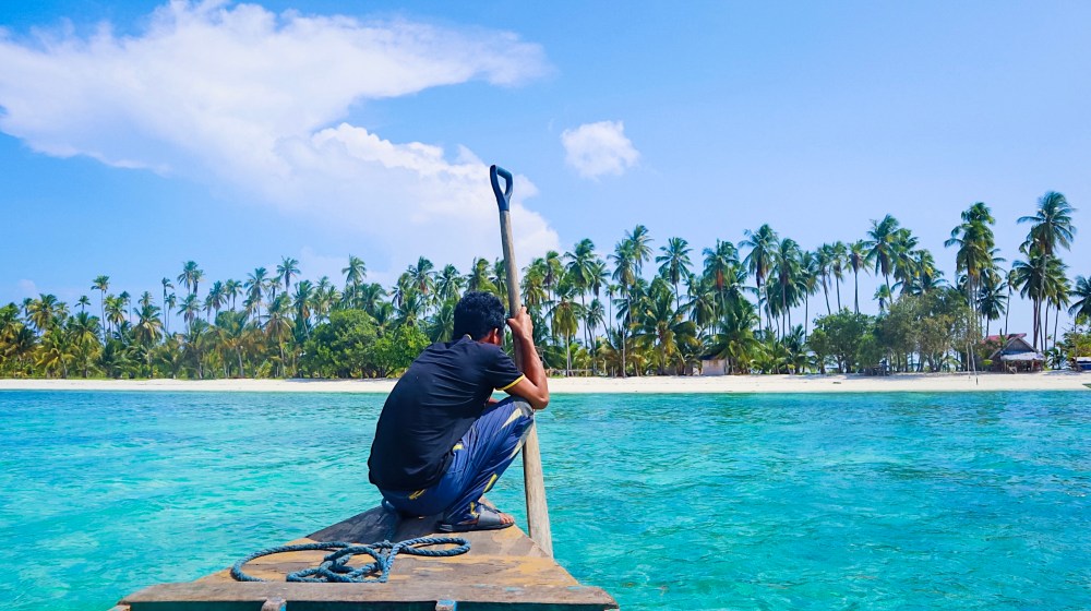 LUSH WITH GREEN AND FLOORED WITH WHITE.