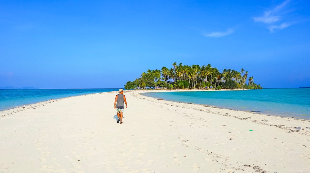 It's that long and this wide.