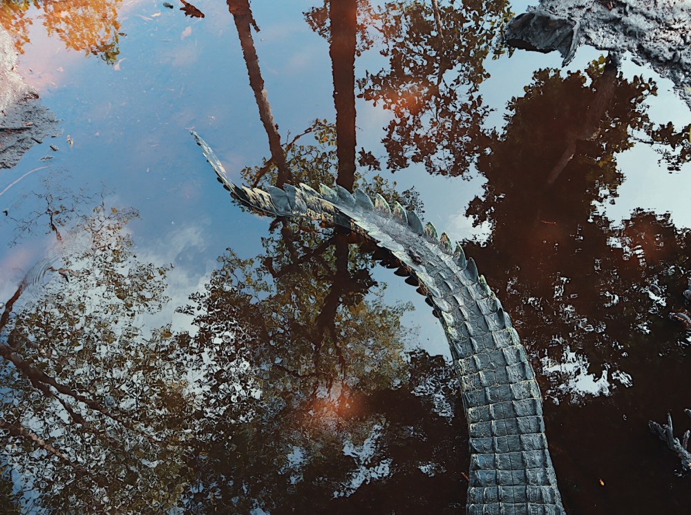 Processed with VSCO with c9 preset