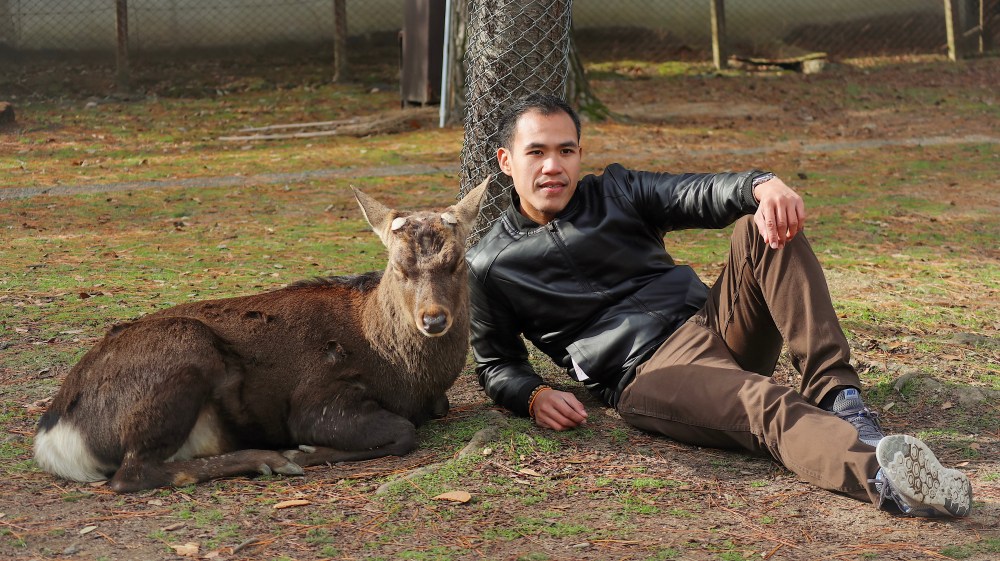 HANGING OUT WITH THE DEER.