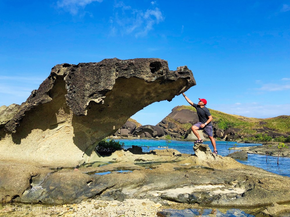 IS IT A SNAKE OR A CROCODILE?