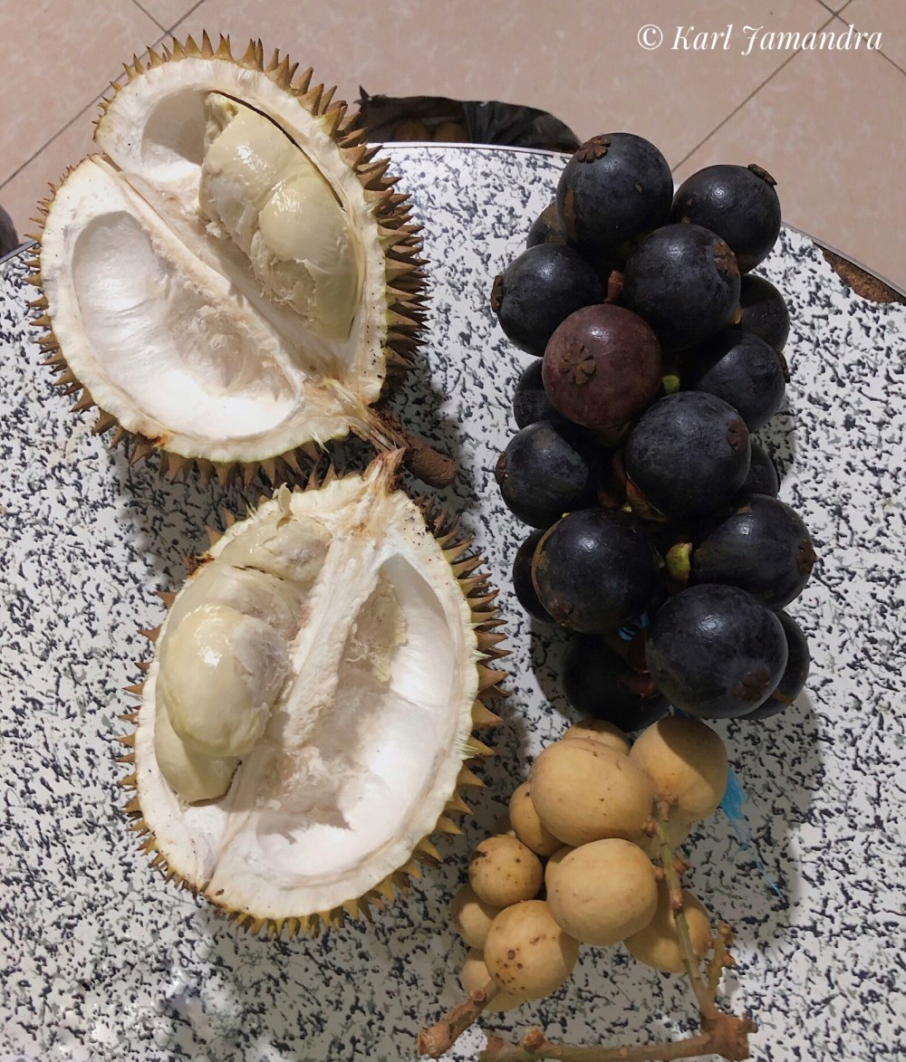 FRUITS OF MINDANAO