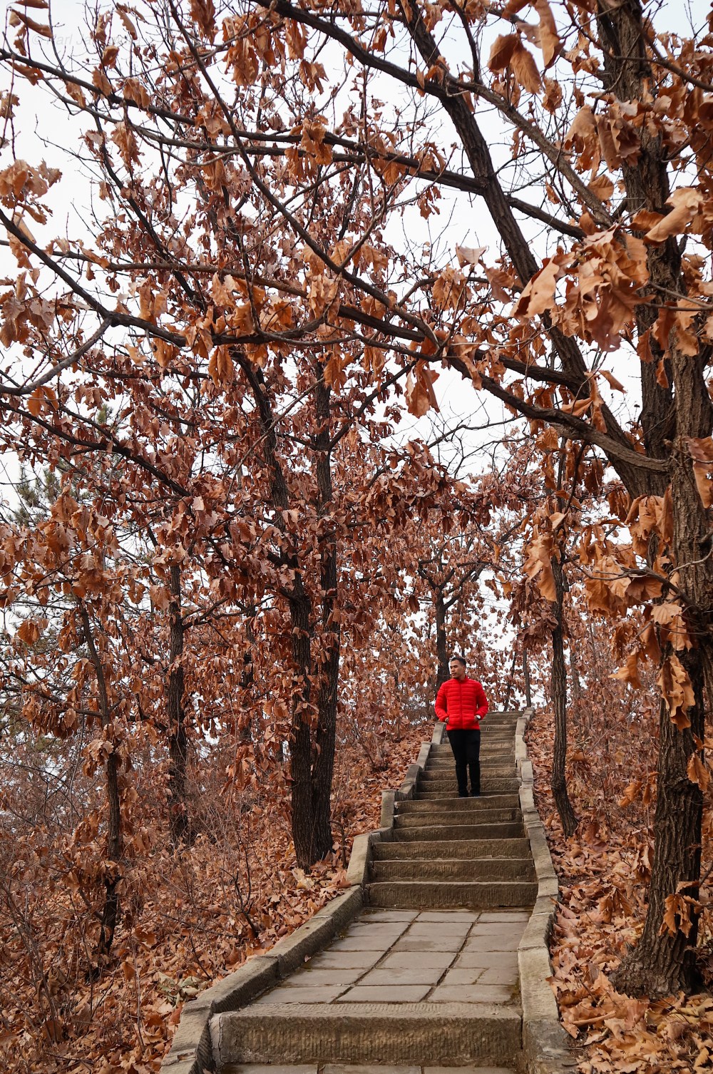 LATE AUTUMN/ EARLY WINTER