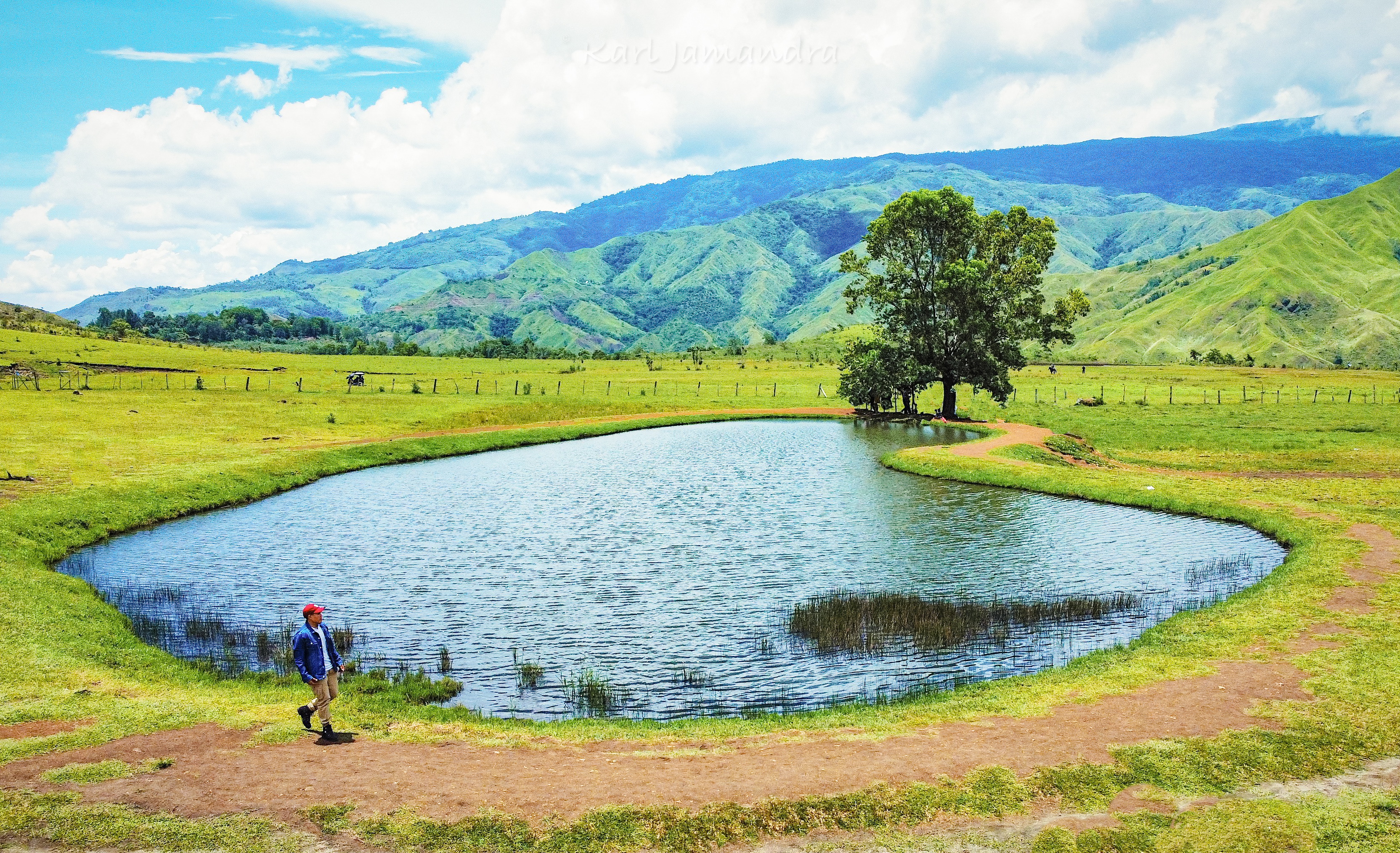 Exploring BUKIDNON’s Communal Ranch: The Only State-Owned Ranch in the ...